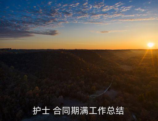 護士 合同期滿工作總結(jié)