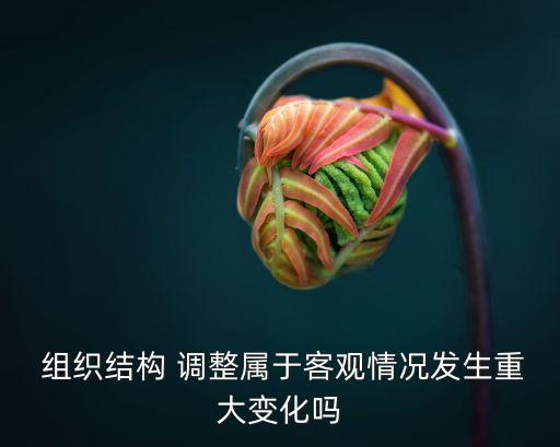 組織調(diào)整