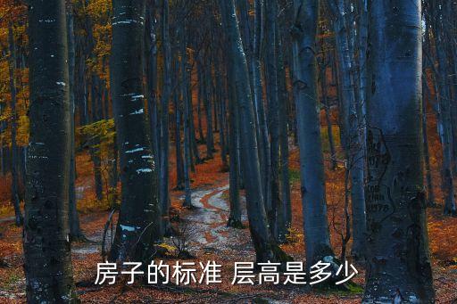 層高