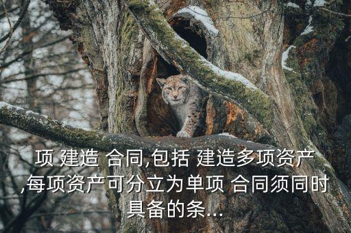 建造合同