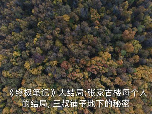 《終極筆記》大結(jié)局:張家古樓每個人的結(jié)局, 三叔鋪子地下的秘密