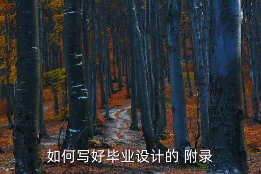 附錄格式,本科畢業(yè)論文附錄格式