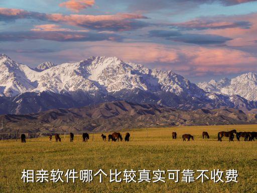  相親軟件哪個(gè)比較真實(shí)可靠不收費(fèi)