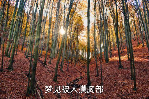 摸美女胸
