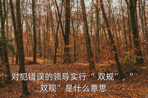 雙規(guī)什么意思,雙開后還有退休金嗎