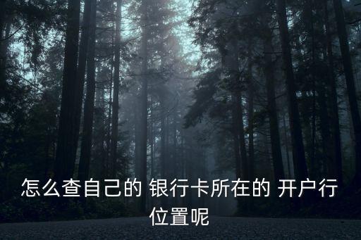 怎么查自己的 銀行卡所在的 開戶行位置呢