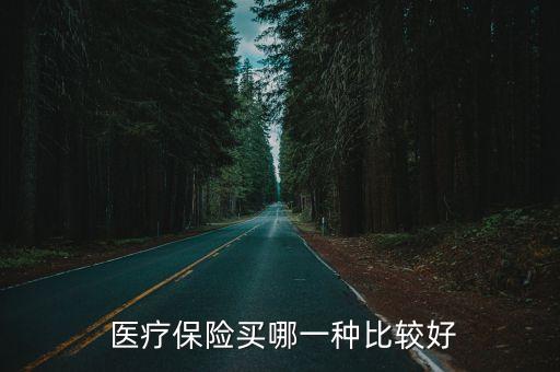  醫(yī)療保險(xiǎn)買哪一種比較好