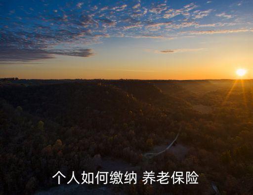 個人養(yǎng)老保險怎么交費(fèi),重慶個人養(yǎng)老保險怎么交費(fèi)