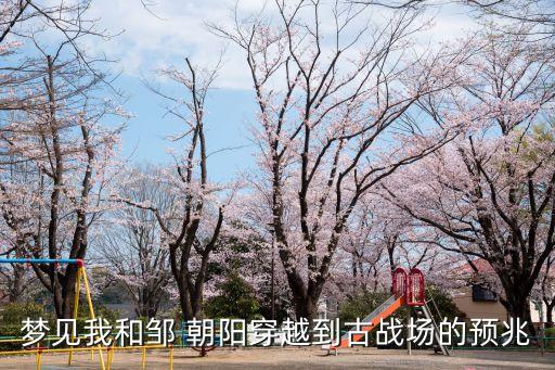 劉朝陽(yáng)