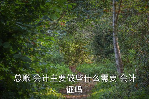 總賬會(huì)計(jì)