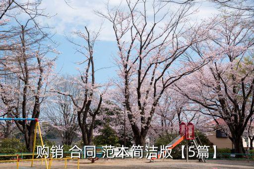 購銷 合同 范本簡(jiǎn)潔版【5篇】