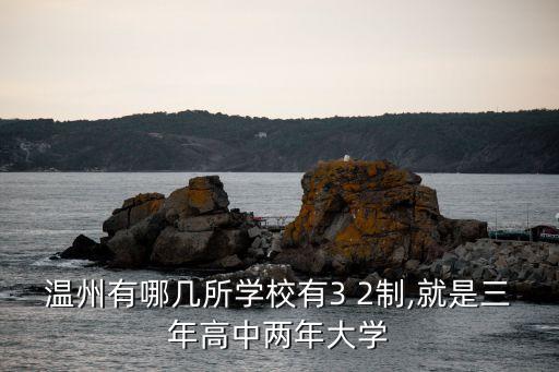 平陽職業(yè)教育中心,平陽縣職業(yè)教育中心是公辦還是私立