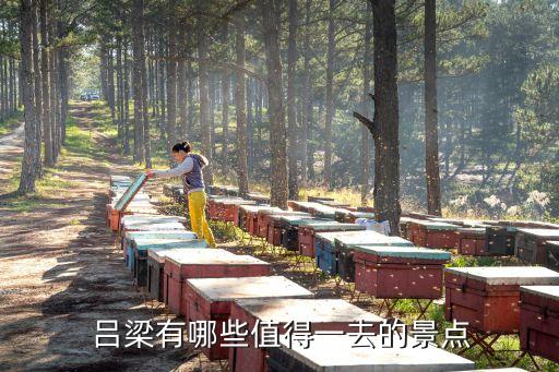 山西呂梁