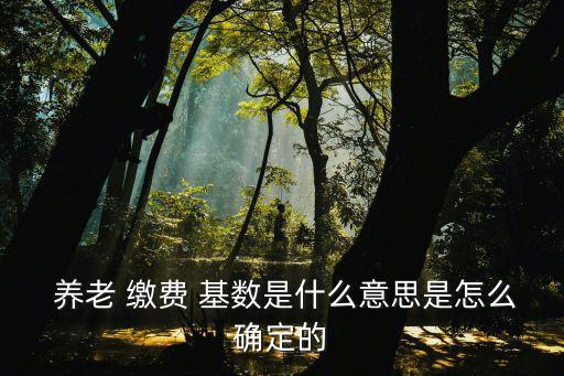  養(yǎng)老 繳費 基數(shù)是什么意思是怎么確定的