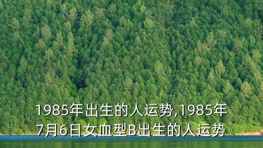 男日女b