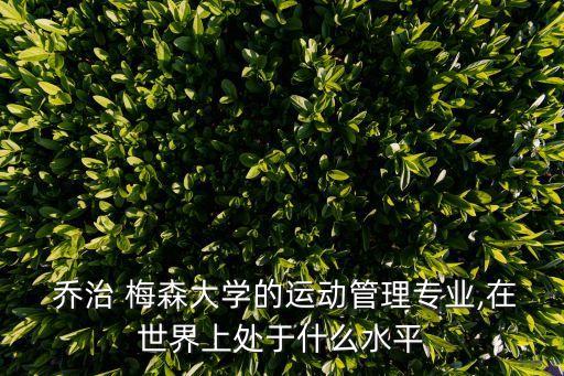 喬治梅森