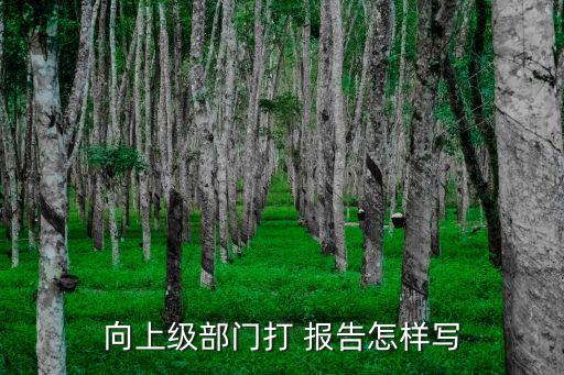 書面報(bào)告怎么寫,社區(qū)矯正對(duì)象書面報(bào)告怎么寫