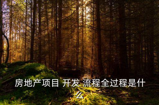 房地產(chǎn)開發(fā)流程,城市規(guī)劃部門如何參與管理房地產(chǎn)開發(fā)流程