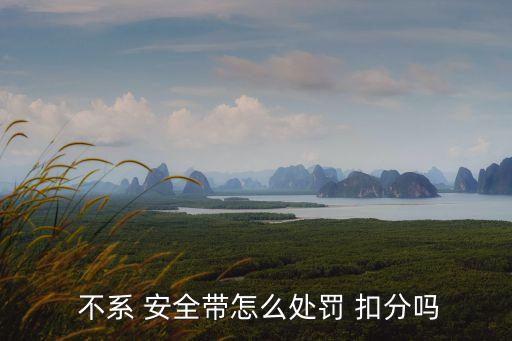  不系 安全帶怎么處罰 扣分嗎
