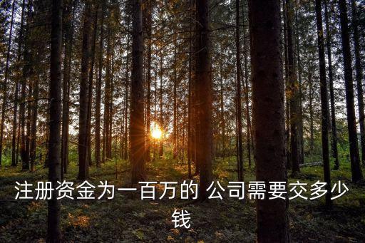 注冊資金為一百萬的 公司需要交多少錢