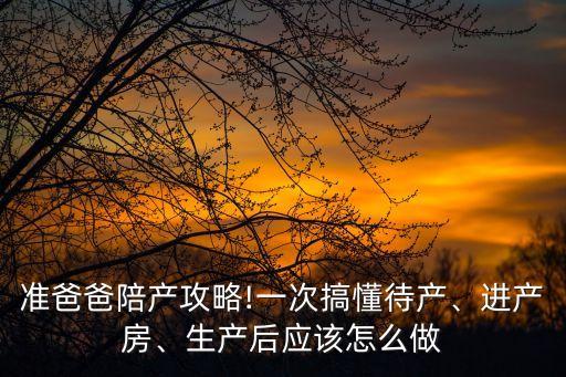 高美玲