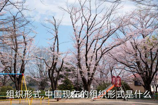 政權(quán)組織形式,中國(guó)現(xiàn)在的組織形式是什么