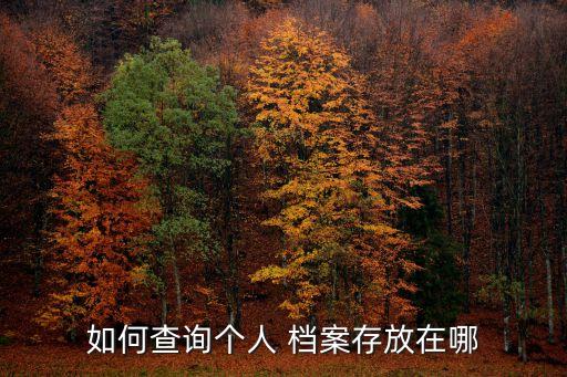 如何查詢個(gè)人 檔案存放在哪