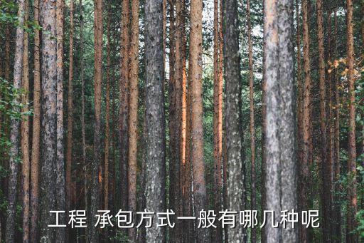 工程 承包方式一般有哪幾種呢