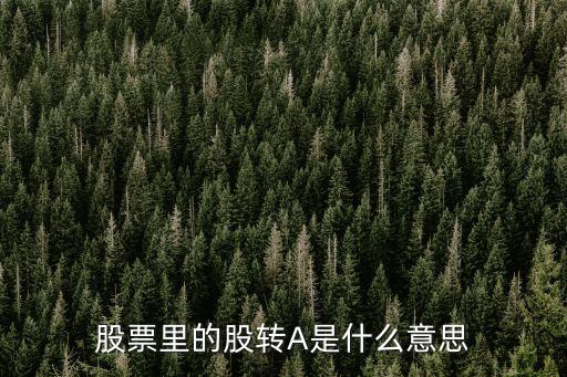 股票里的股轉(zhuǎn)A是什么意思