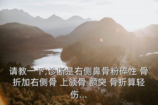 上頜骨額突骨折,左側(cè)上頜骨額突骨折