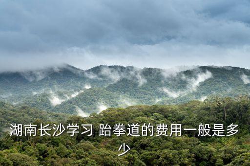 湖南長沙學(xué)習(xí) 跆拳道的費(fèi)用一般是多少