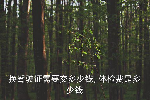駕照體檢多少錢,摩托車駕照體檢多少錢