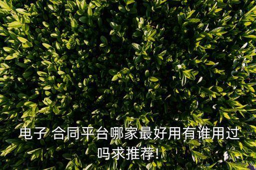 電子合同軟件下載