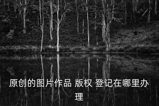 版權(quán)登記中心,陜西省版權(quán)登記中心