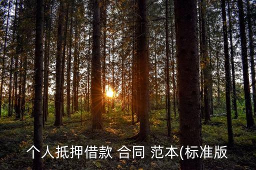 個人抵押借款 合同 范本(標(biāo)準(zhǔn)版