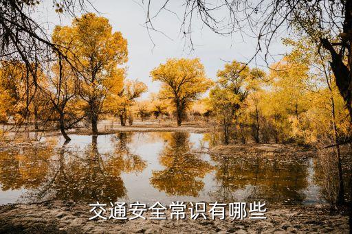 交通安全資料