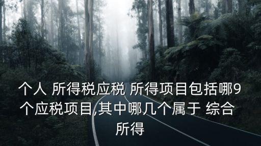 綜合所得