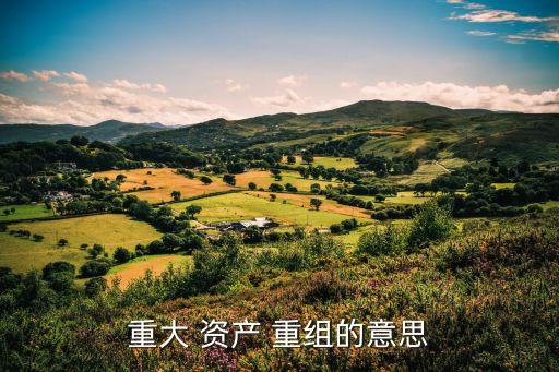 重大資產(chǎn)重組