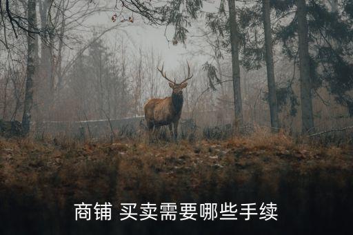 店鋪買賣,拼多多店鋪買賣