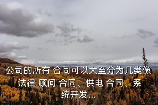 公司的所有 合同可以大至分為幾類像 法律 顧問 合同、供電 合同、系統(tǒng)開發(fā)...