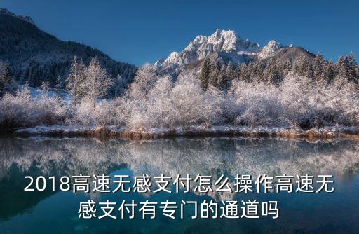 粵通卡app,etc業(yè)務(wù)操作只會在粵通卡app