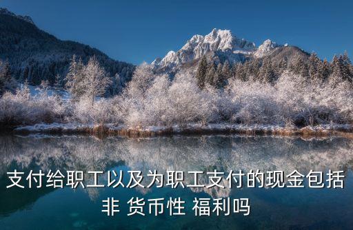 支付給職工以及為職工支付的現(xiàn)金包括非 貨幣性 福利嗎