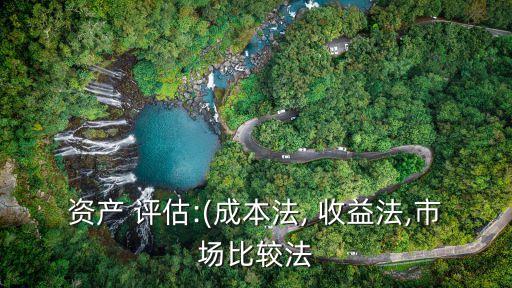 資產(chǎn) 評估:(成本法, 收益法,市場比較法