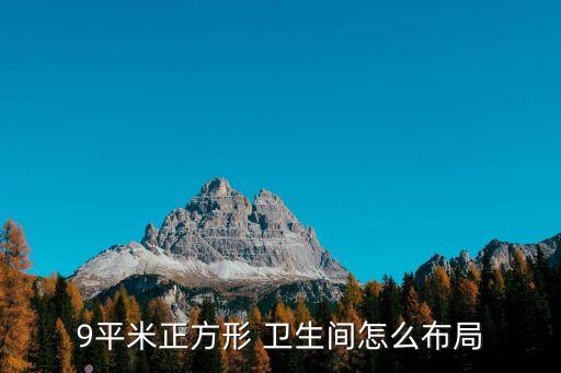 9平米正方形 衛(wèi)生間怎么布局