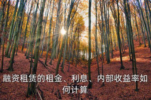融資租賃的租金、利息、內(nèi)部收益率如何計算