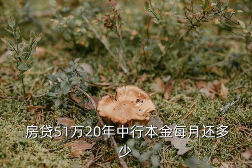  房貸51萬20年中行本金每月還多少