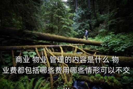 商業(yè)物業(yè)管理,商業(yè)綜合體物業(yè)服務(wù)方案