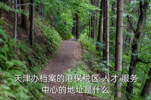 天津人才服務(wù)