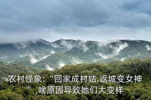 鄰居家的嫂子,野花韓劇在線觀看網(wǎng)