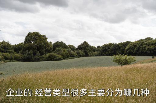 經(jīng)營類